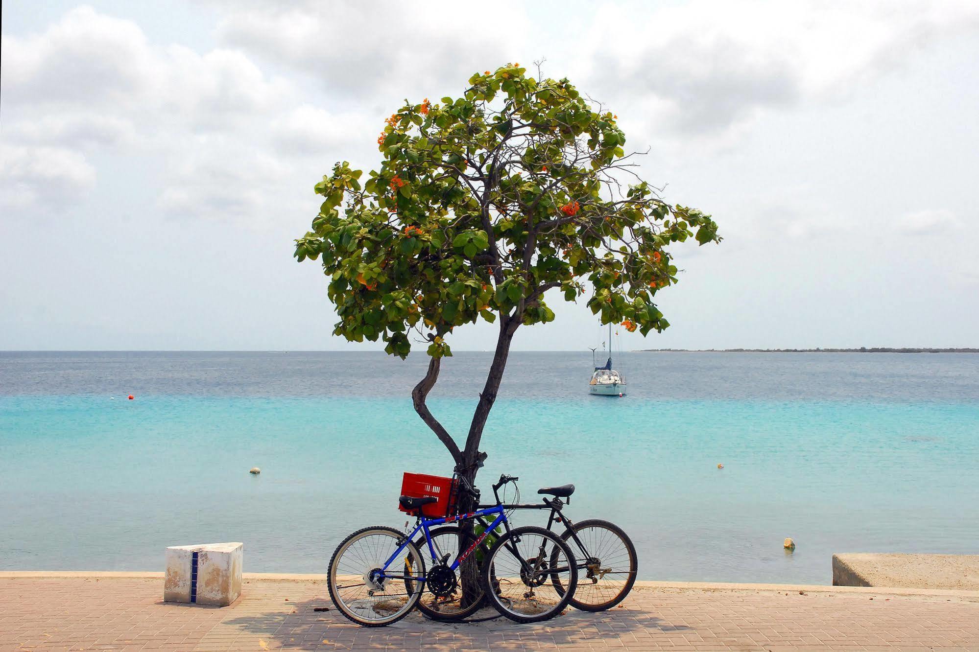 City Inn Bonaire Extérieur photo